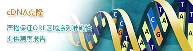 源于高质量的cDNA文库，严格保证ORF区序列正确性，提供测序报告