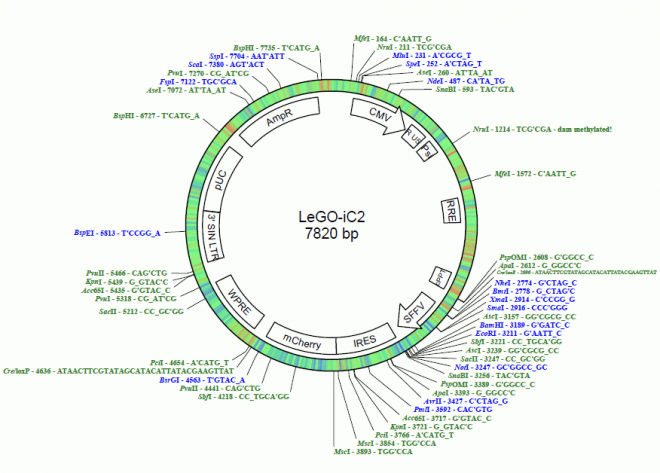 LeGO-iC2 质粒图谱