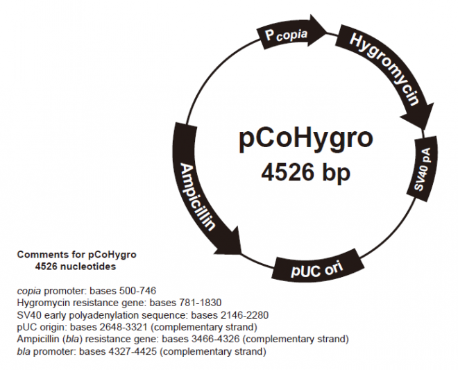 pCoHygro Vector（质粒图谱）