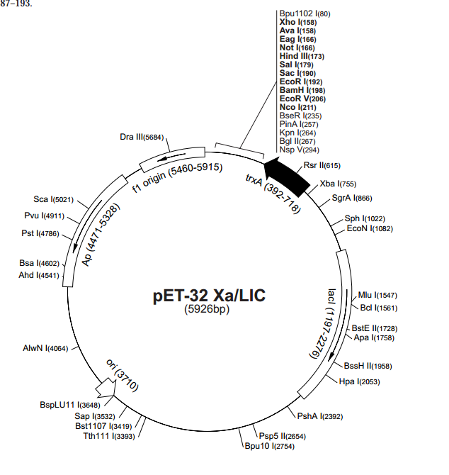 pET-32 Xa/LIC质粒图谱