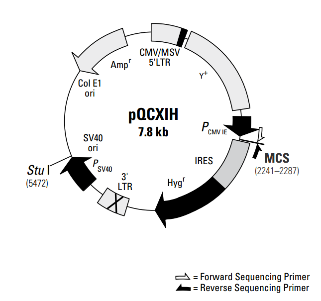 pQCXIH质粒图谱