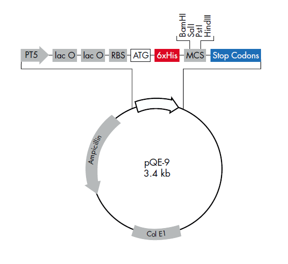 pQE-9 质粒图谱