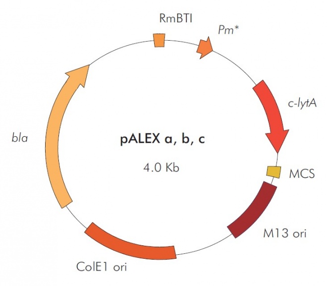 pALEX a,b,c质粒图谱