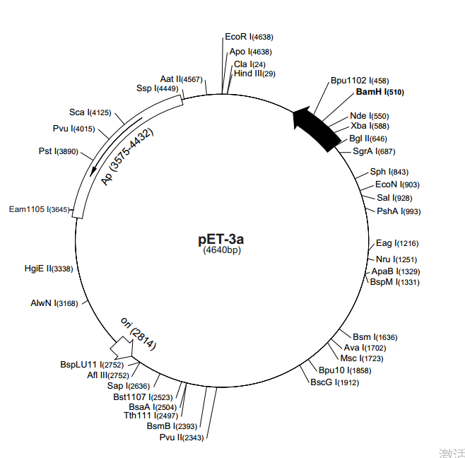 pET-3a 质粒图谱