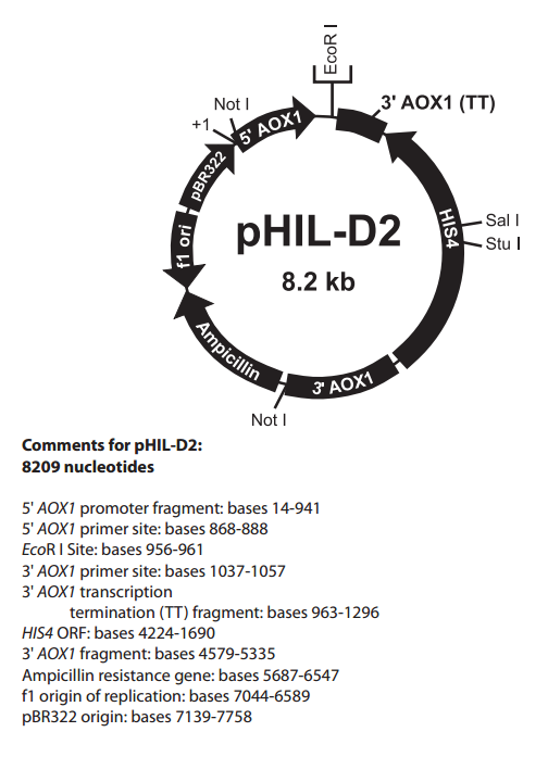 pHIL-D2 质粒图谱