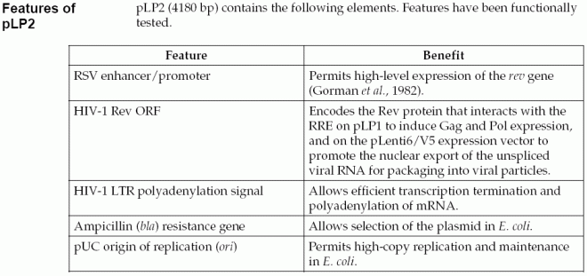 pLP2质粒特点