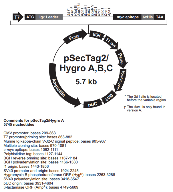 pSecTag2/Hygro A&B&C 质粒图谱