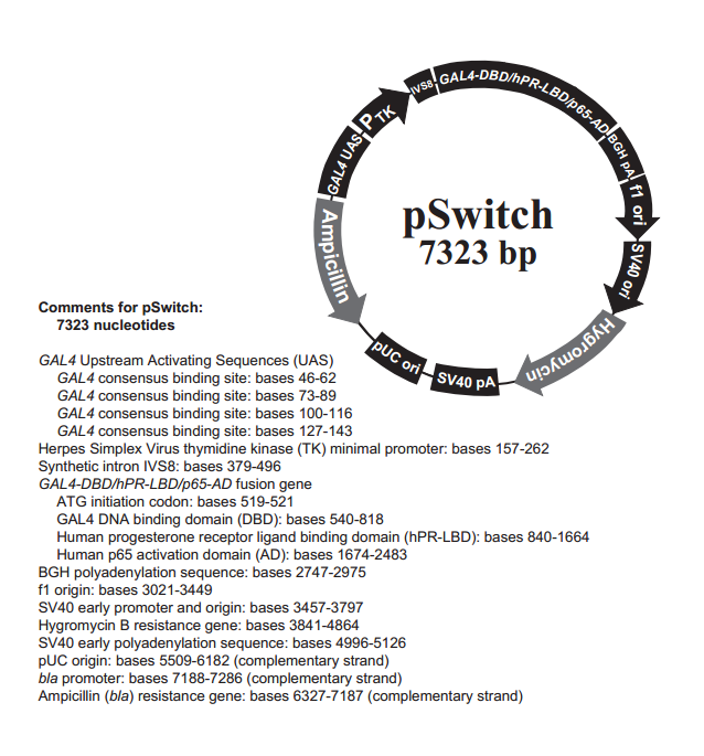 pSwitch 质粒图谱